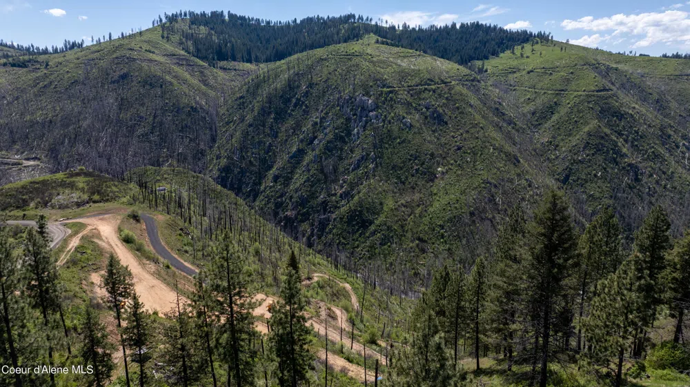 2912 Lolo Creek Road Weippe, ID 83553