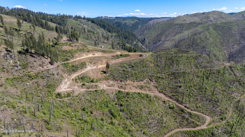 2912 Lolo Creek Road Weippe, ID 83553