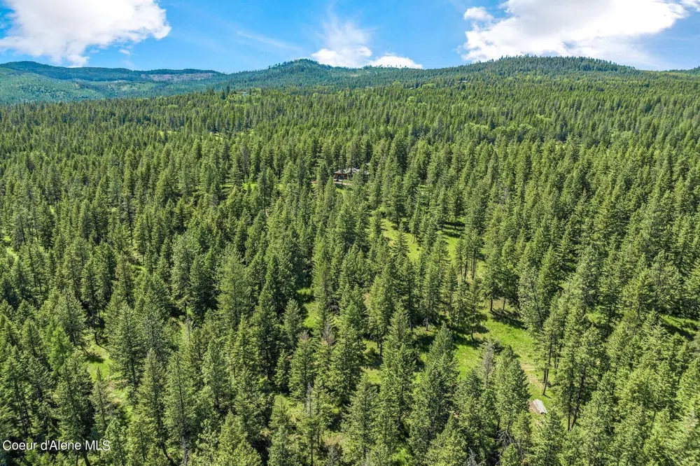 526 Roop Road Cocolalla, ID 83813