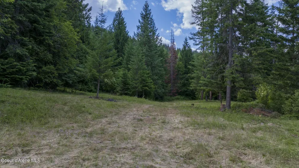 7362 S Dicks Creek Road Kendrick, ID 83537