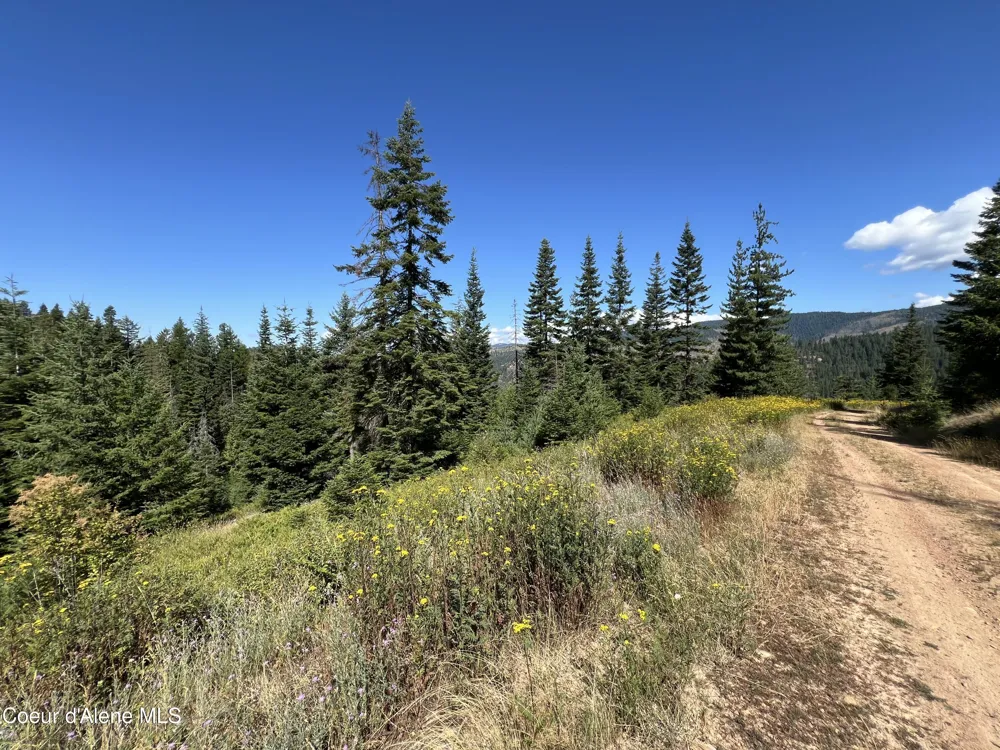10 Kingston Way Kingston, ID 83839