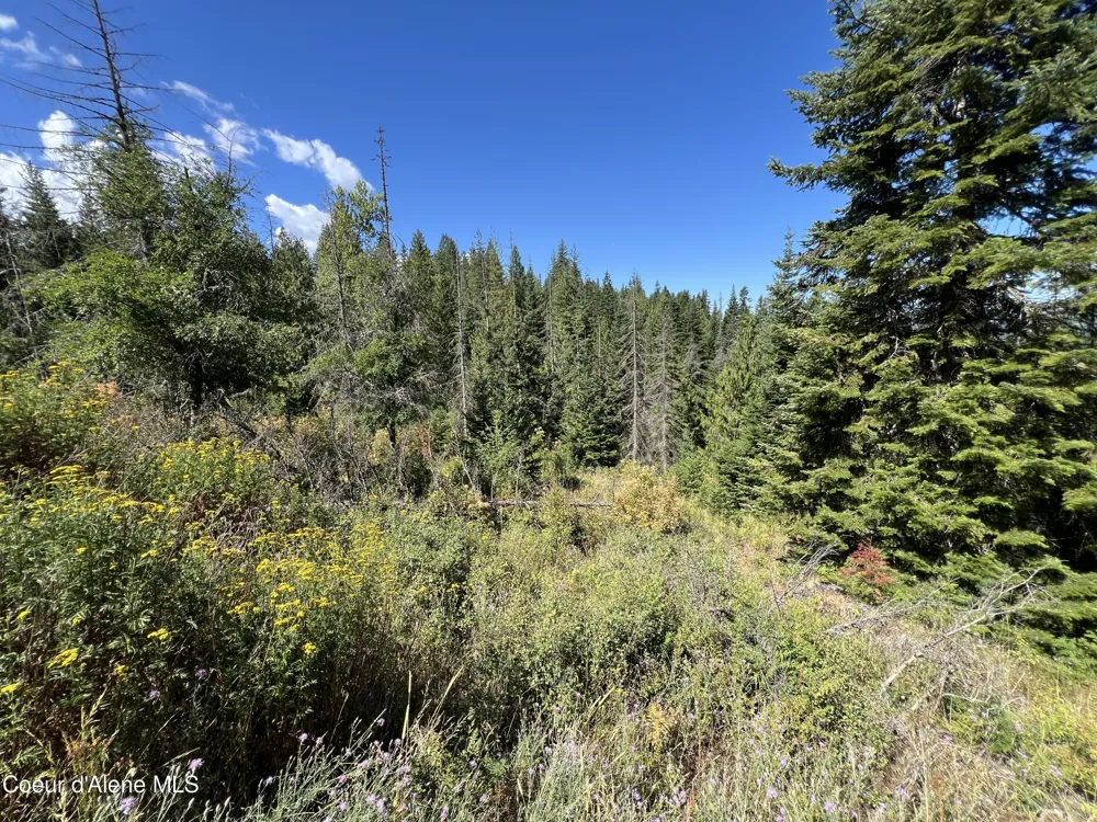 10 Kingston Way Kingston, ID 83839