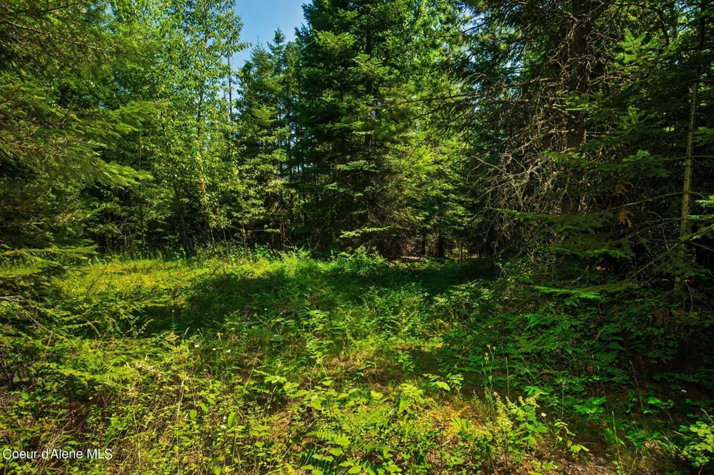 NKA Lower Pack River Road Sandpoint, ID 83864