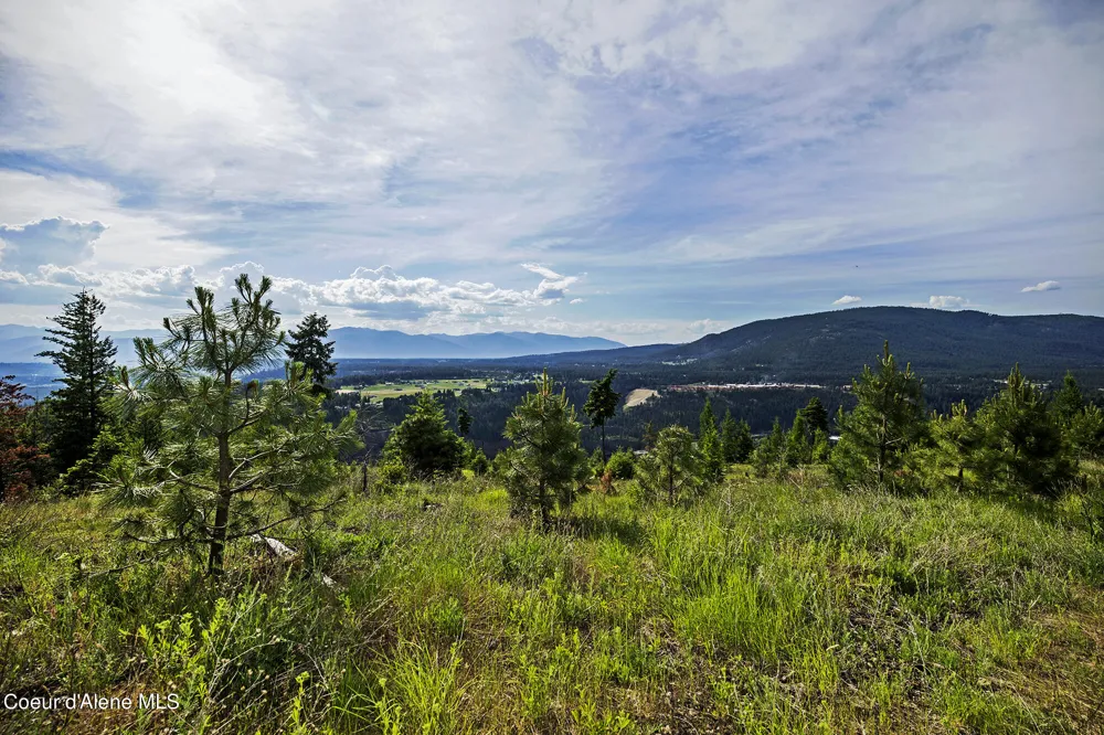 139 Two Tail Road Bonners Ferry, ID 83805