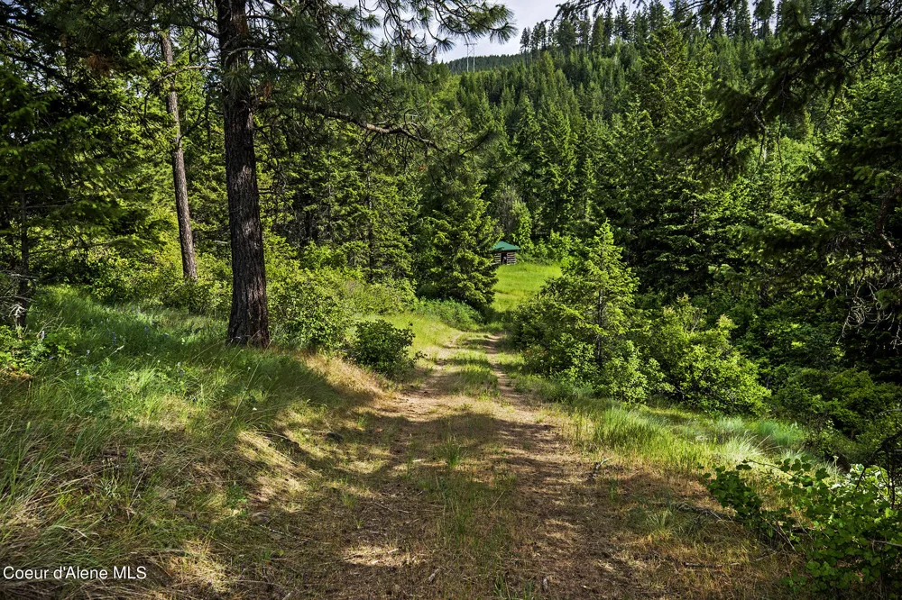 139 Two Tail Road Bonners Ferry, ID 83805