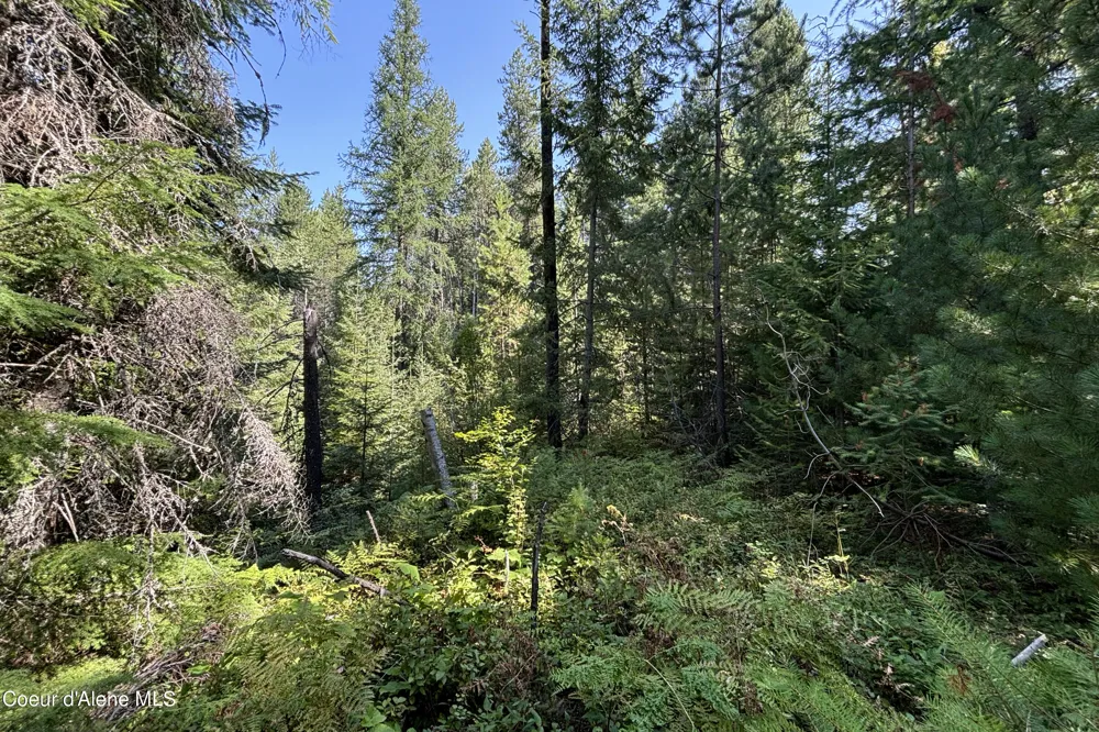 Lot 14 Ridge Way Sandpoint, ID 83864