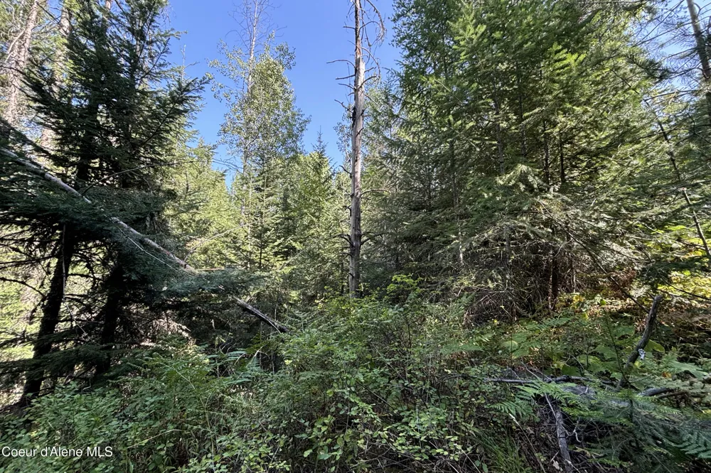 Lot 14 Ridge Way Sandpoint, ID 83864