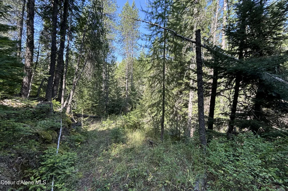 Lot 14 Ridge Way Sandpoint, ID 83864