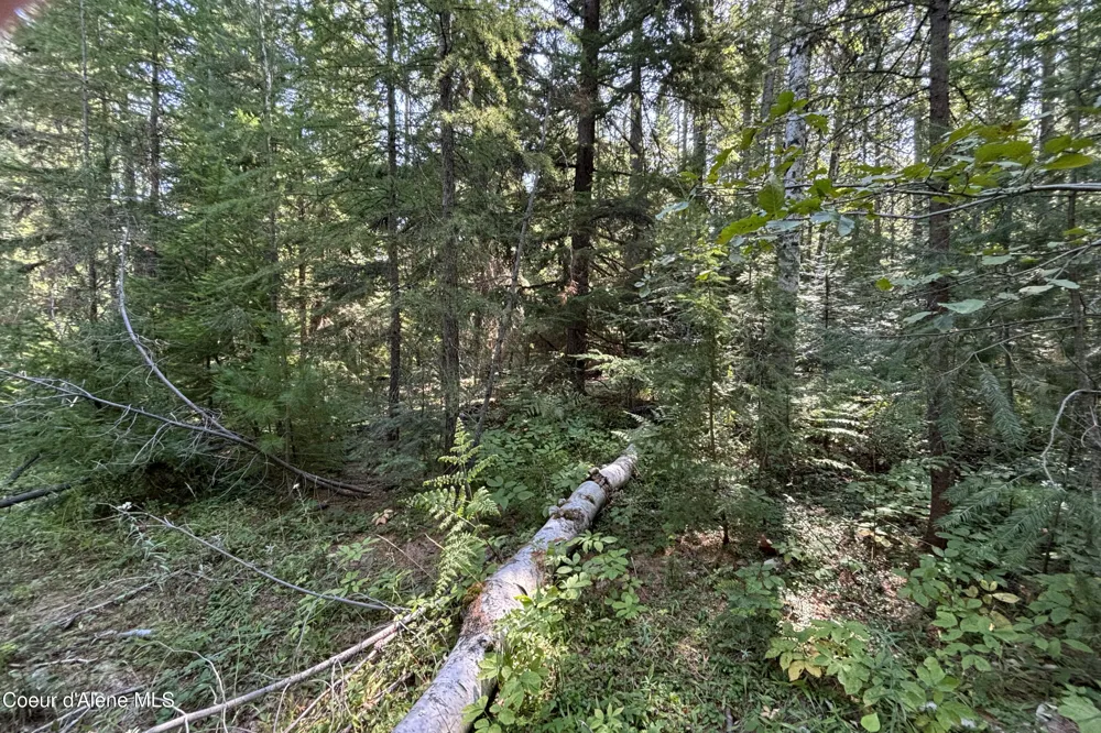 Lot 14 Ridge Way Sandpoint, ID 83864