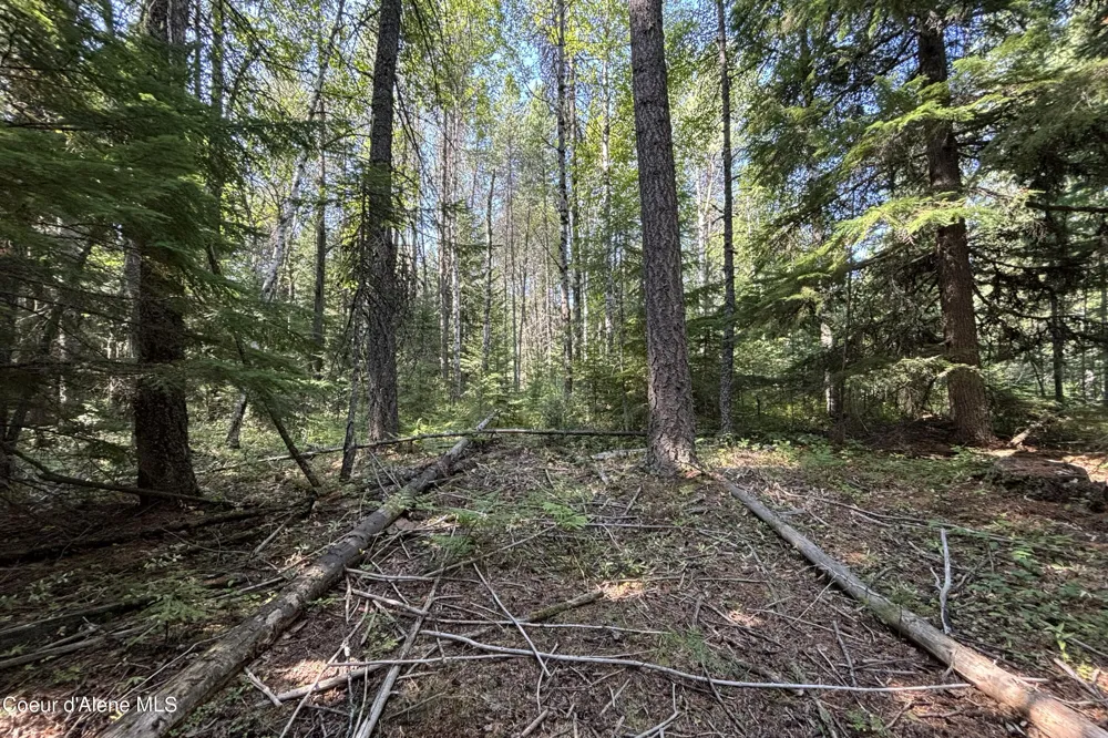 Lot 14 Ridge Way Sandpoint, ID 83864