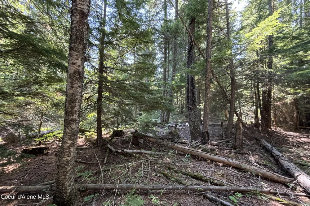 Lot 14 Ridge Way Sandpoint, ID 83864