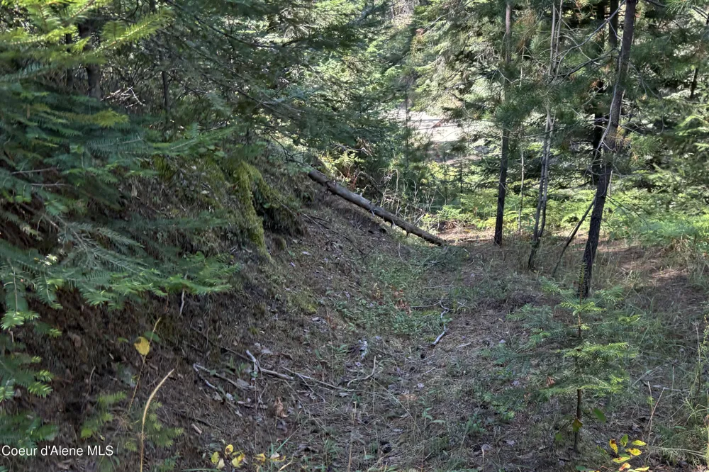 Lot 14 Ridge Way Sandpoint, ID 83864