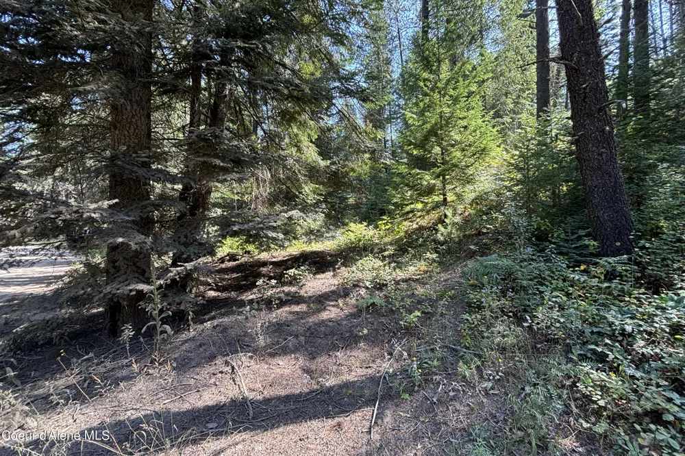 Lot 14 Ridge Way Sandpoint, ID 83864