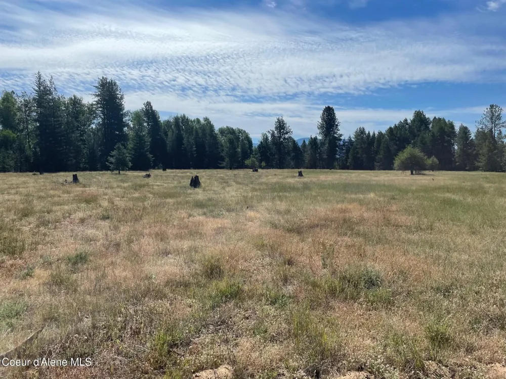 NKA W 50 Acres Peninsula Rd Priest River, ID 83856