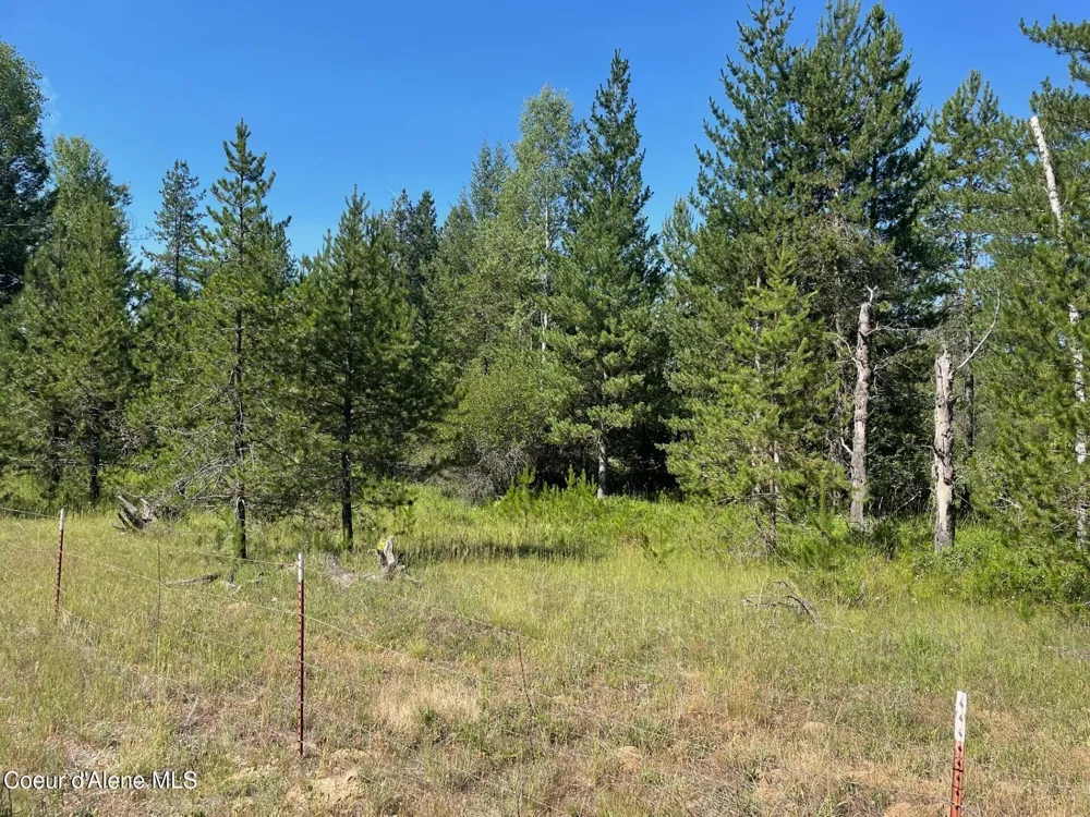 E 50+/- Acres Peninsula Road Priest River, ID 83856