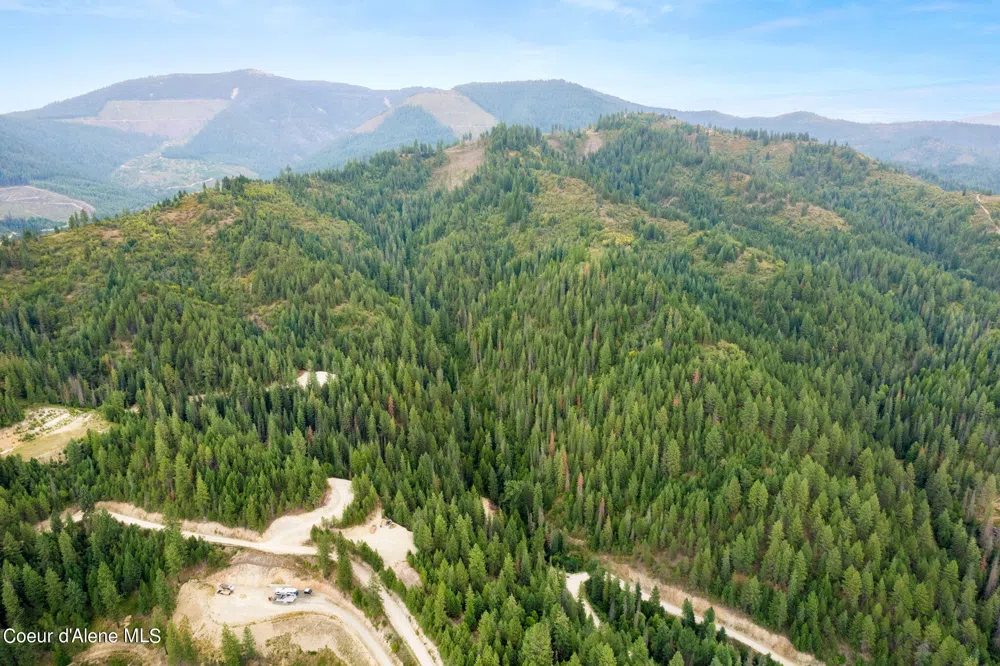 872 South Fork Ridge Road Smelterville, ID 83868