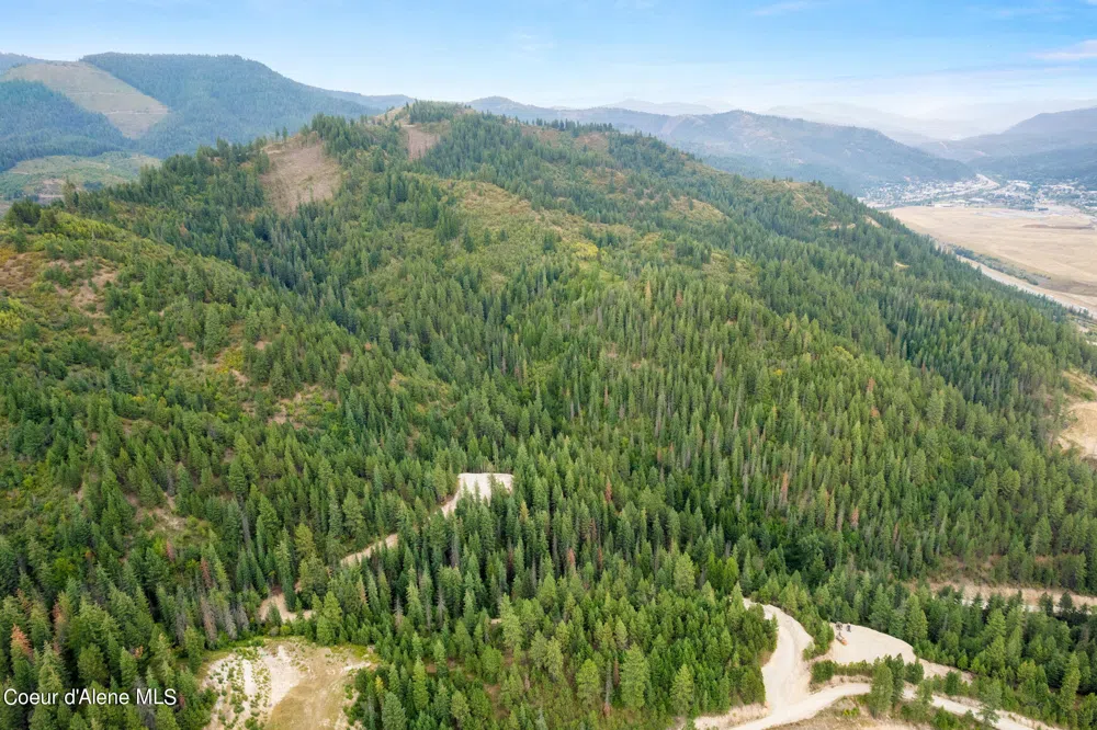 872 South Fork Ridge Road Smelterville, ID 83868