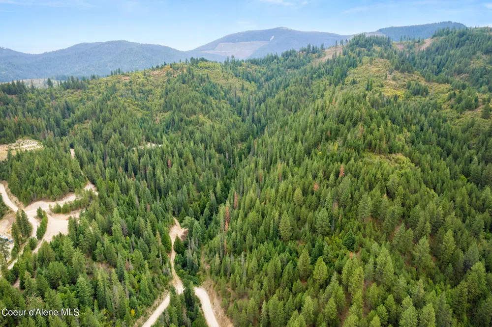872 South Fork Ridge Road Smelterville, ID 83868