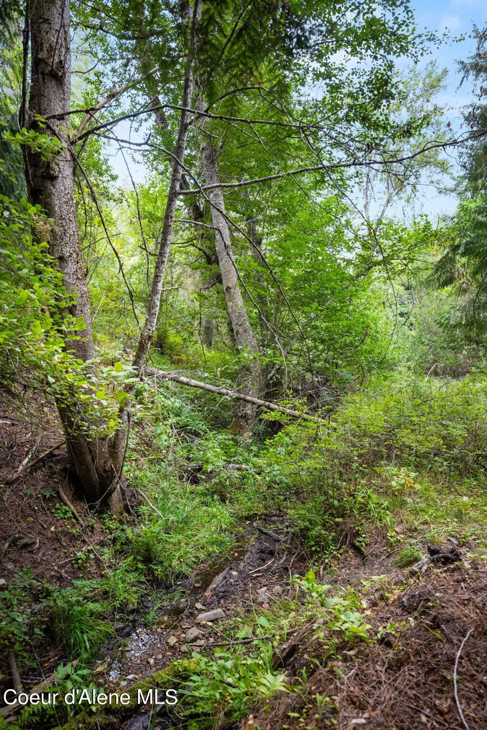 872 South Fork Ridge Road Smelterville, ID 83868