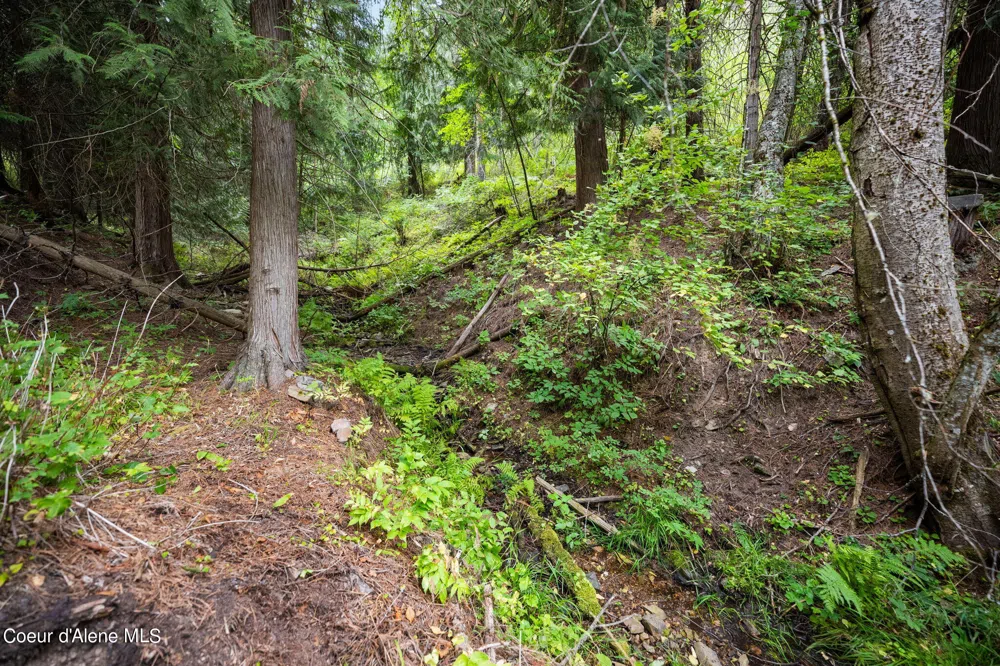 872 South Fork Ridge Road Smelterville, ID 83868