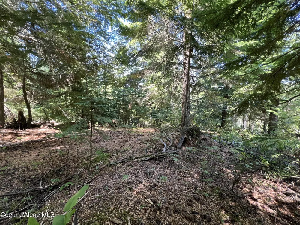 520 Alpine Drive Fernwood, ID 83830