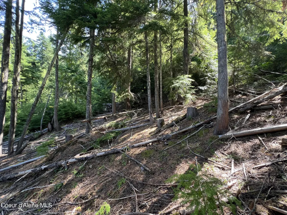 520 Alpine Drive Fernwood, ID 83830