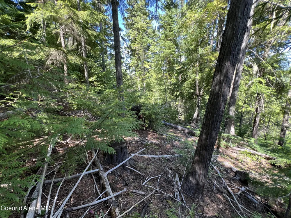 520 Alpine Drive Fernwood, ID 83830