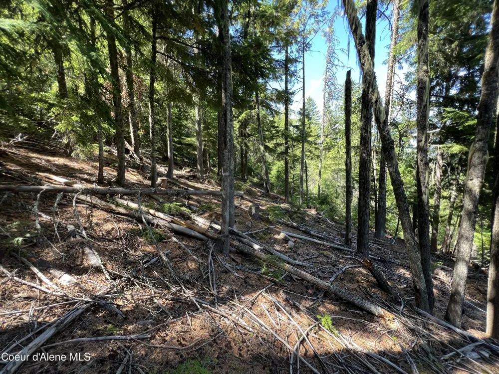 520 Alpine Drive Fernwood, ID 83830