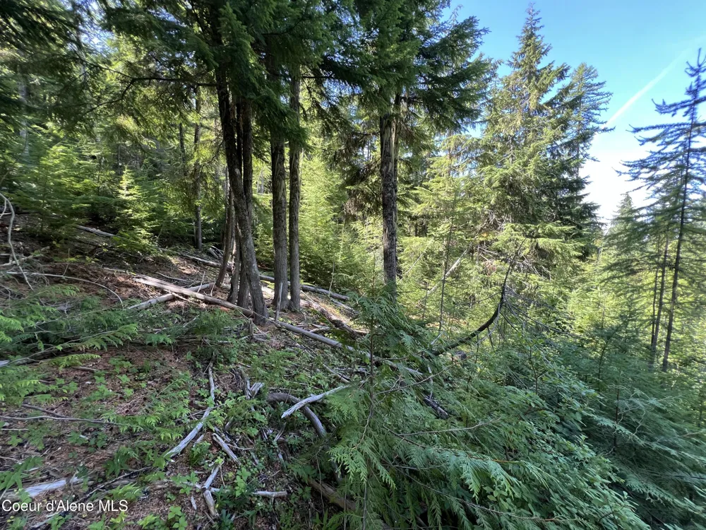 520 Alpine Drive Fernwood, ID 83830