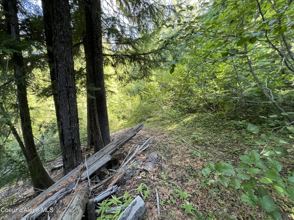 520 Alpine Drive Fernwood, ID 83830
