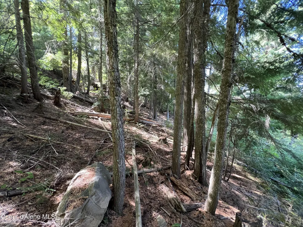 520 Alpine Drive Fernwood, ID 83830
