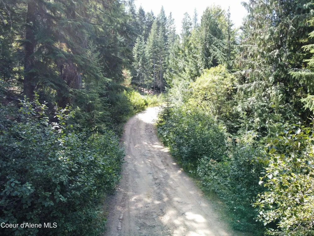 520 Alpine Drive Fernwood, ID 83830