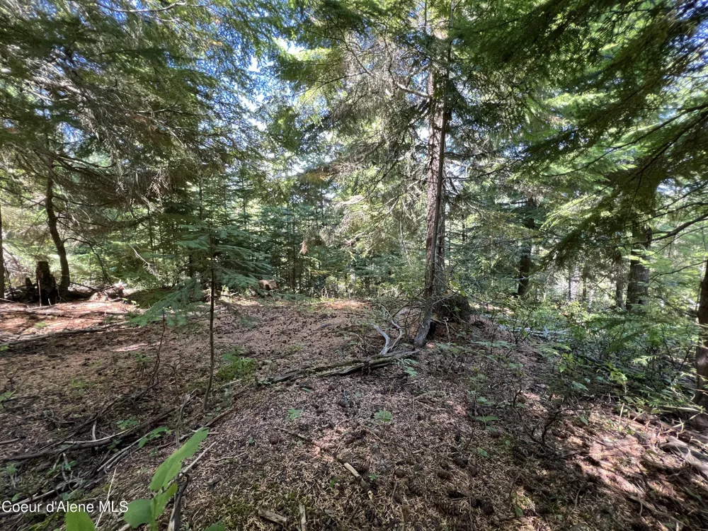 520 Alpine Drive Fernwood, ID 83830
