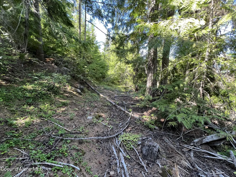 520 Alpine Drive Fernwood, ID 83830