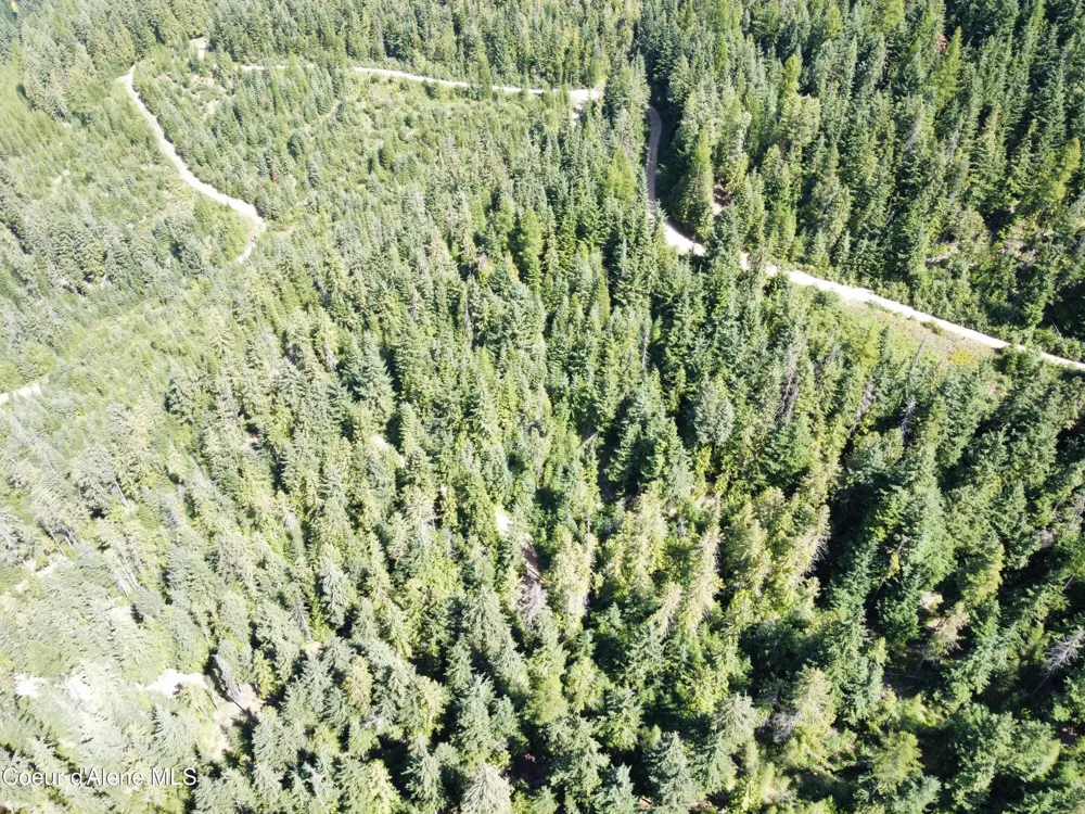520 Alpine Drive Fernwood, ID 83830