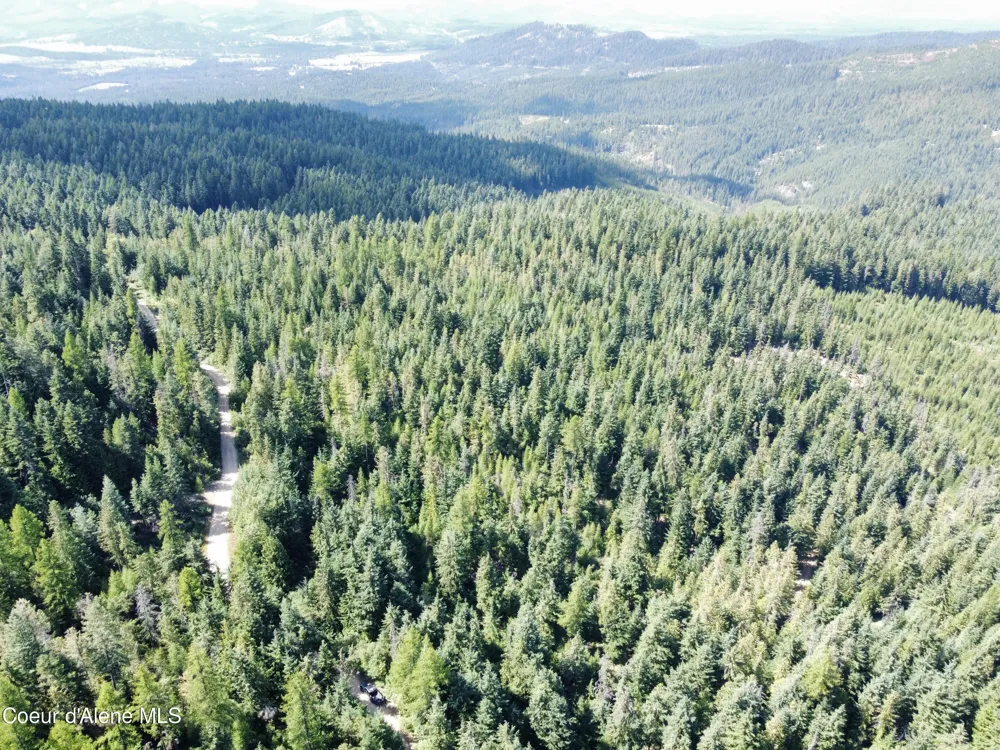 520 Alpine Drive Fernwood, ID 83830