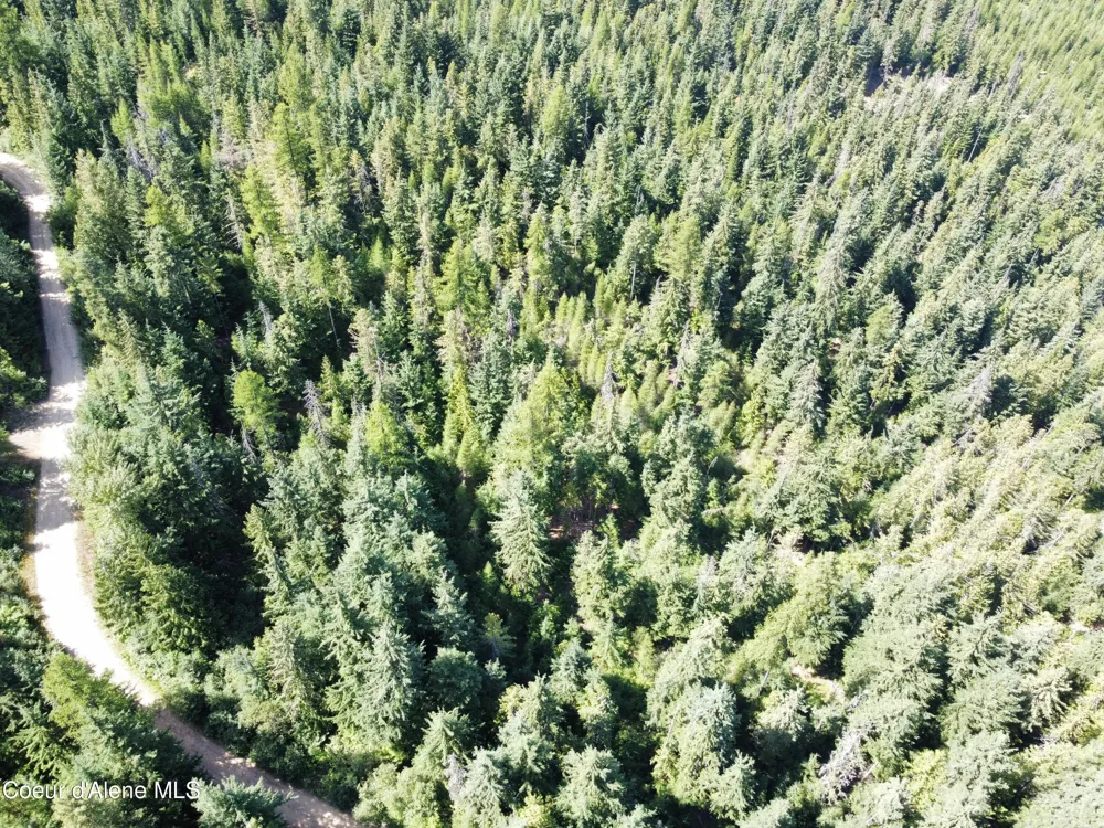520 Alpine Drive Fernwood, ID 83830