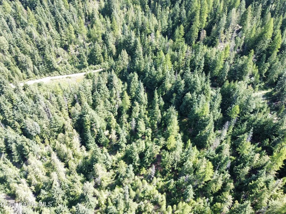 520 Alpine Drive Fernwood, ID 83830