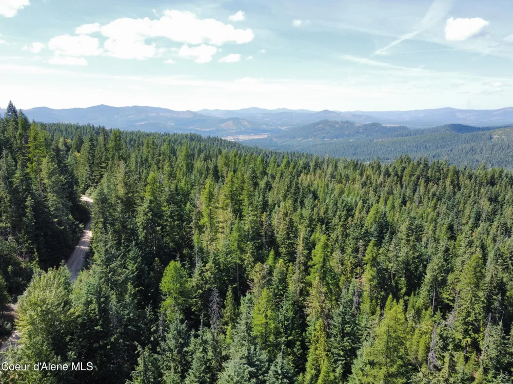 520 Alpine Drive Fernwood, ID 83830