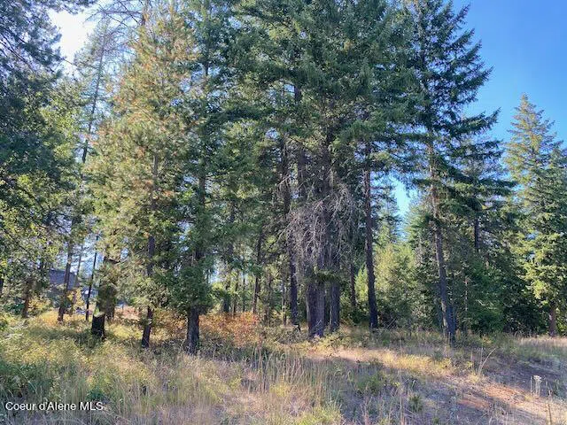 L4B10 Walden Loop Rathdrum, ID 83858