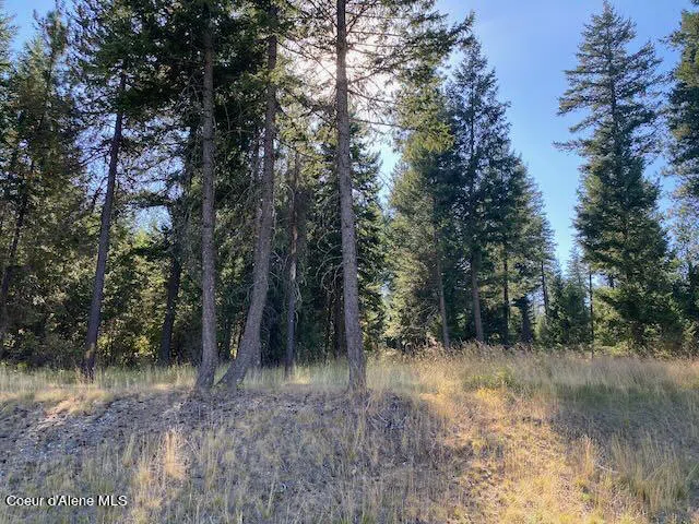 L4B10 Walden Loop Rathdrum, ID 83858