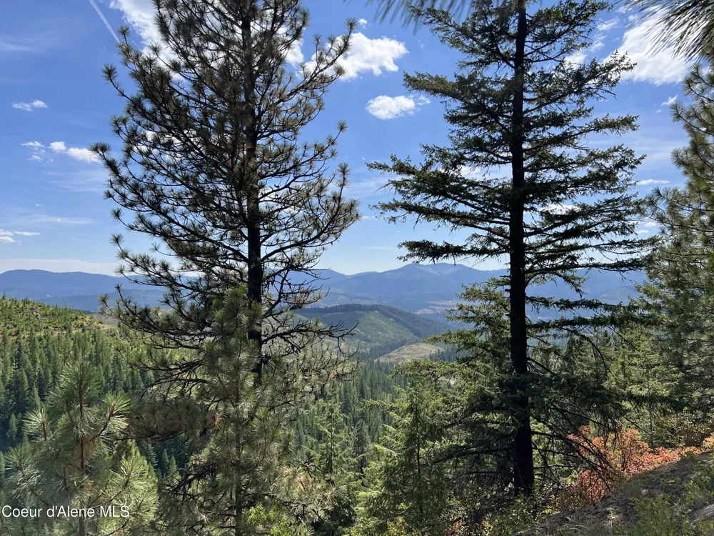 1425 Upriver View Drive Fernwood, ID 83830