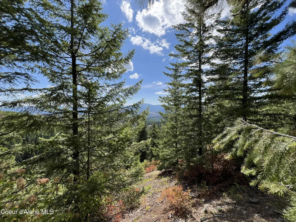 1425 Upriver View Drive Fernwood, ID 83830
