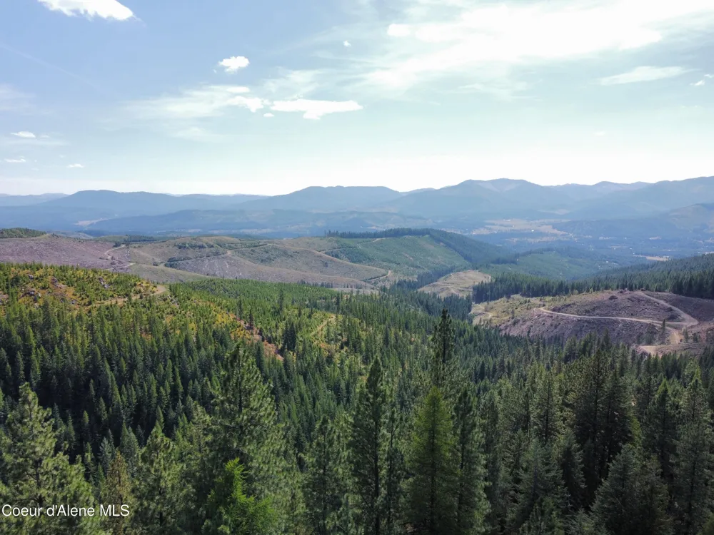1425 Upriver View Drive Fernwood, ID 83830
