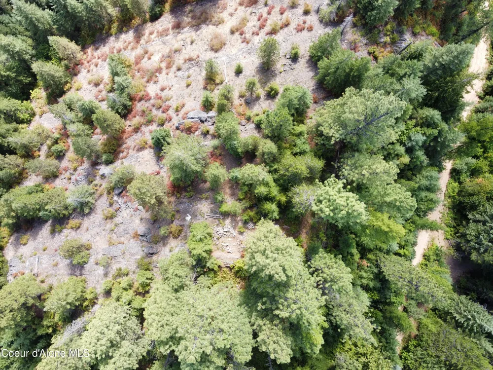 1425 Upriver View Drive Fernwood, ID 83830