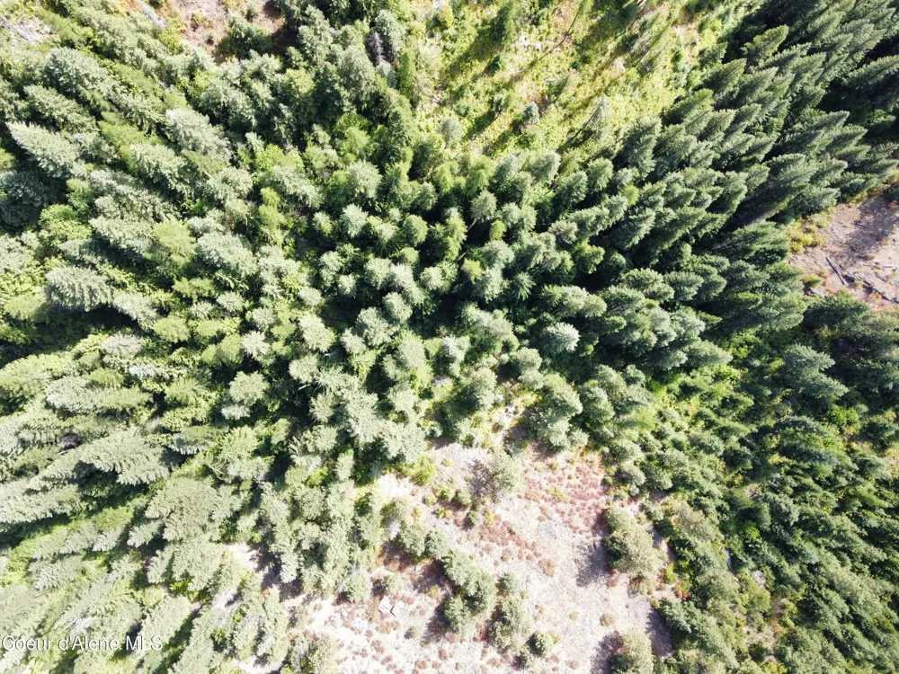 1425 Upriver View Drive Fernwood, ID 83830