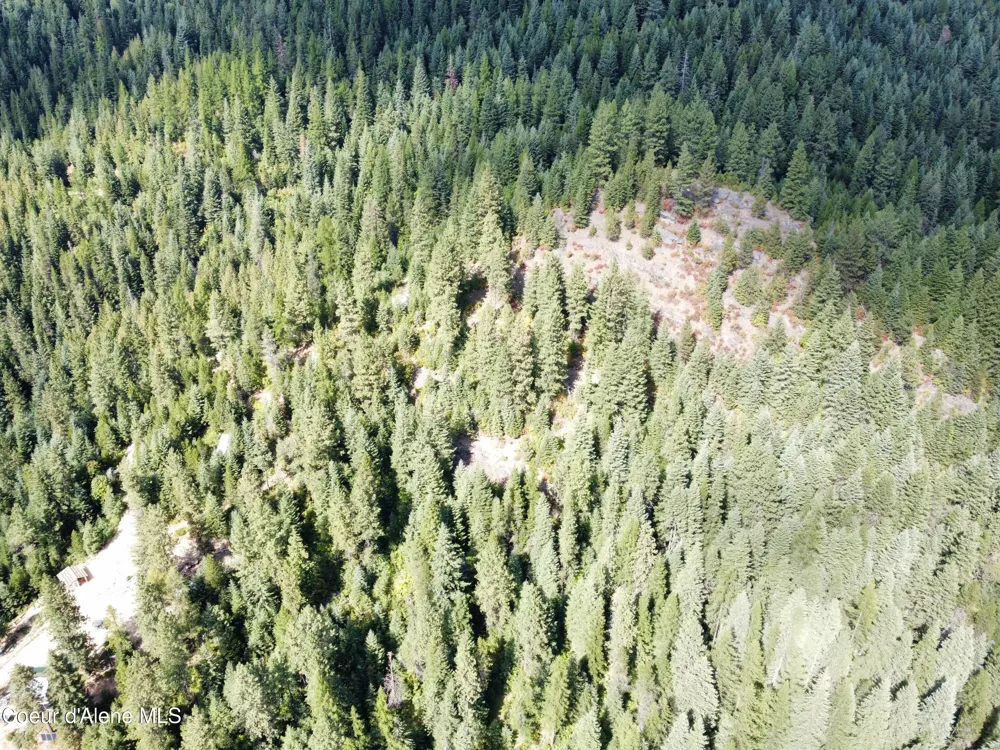 1425 Upriver View Drive Fernwood, ID 83830