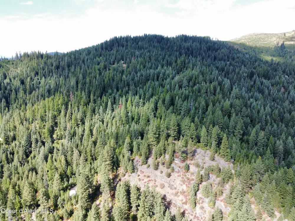 1425 Upriver View Drive Fernwood, ID 83830