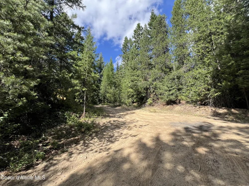 1425 Upriver View Drive Fernwood, ID 83830