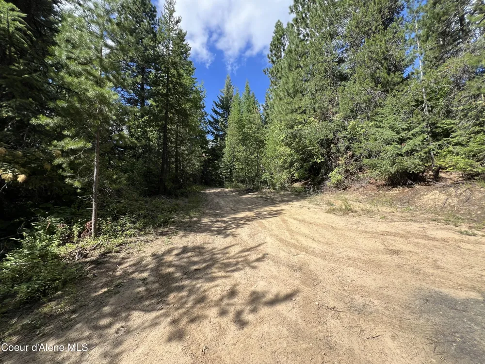 1425 Upriver View Drive Fernwood, ID 83830